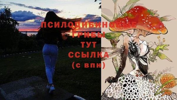 шишки Алексин