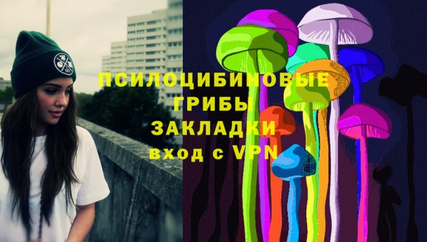 шишки Алексин
