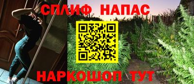 прущие крисы Кулебаки