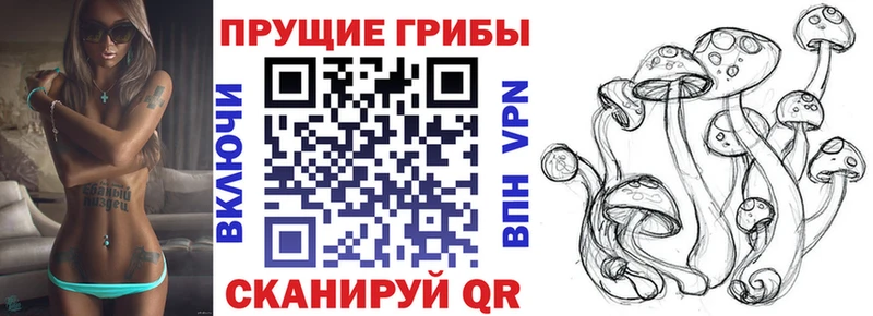 Галлюциногенные грибы ЛСД  как найти закладки  Евпатория 